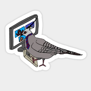 Zoom Pigeon Sticker